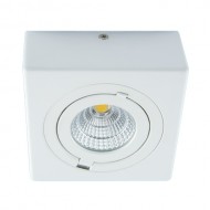 Griestu COB LED apgaismojums 230V , 9 W, Krāsa: balta, Gaismas krāsa: neitrāli balta