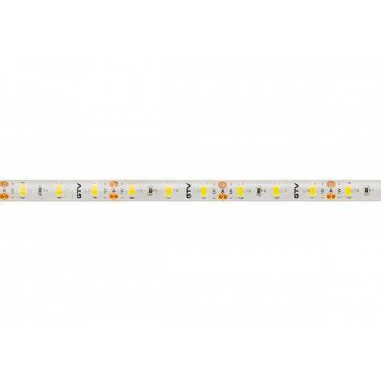 LED lente FLASH 5630, 300 LED, 6500K, 80W, 1700 lm/1m, IP65, 10mm, 5m spole, DC12V LD-5630-300-65-ZB GTV