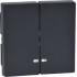 Rocker, Merten System M, 2-grupas ar indikatora logu, antracīts