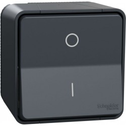 Slēdzis, Mureva Styl, komplekts produkts, 2-polu 1-way, elektromehānisks, 16AX, IP55, pelēks