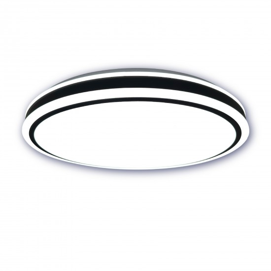 LED griestu lampa ar regulējamu gaismas spilgtumu un tālvadības pulti 24W 1600Lm 3000-6500K φ380mm IP44