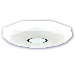 LED griestu lampa ar regulējamu gaismas spilgtumu un tālvadības pulti 24W 1700Lm 3000-6500K φ395mm IP44
