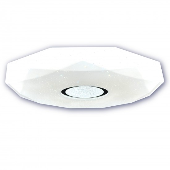 LED griestu lampa ar regulējamu gaismas spilgtumu un tālvadības pulti 24W 1700Lm 3000-6500K φ395mm IP44 LED griestu lampa ar regulējamu gaismas spilgtumu un tālvadības pulti 24W 1700Lm 3000-6500K φ395mm IP44