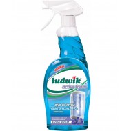 Dušas kabīņu tīrīšanas līdzeklis ar aktīvām putām, 600 ml (Ludwik)