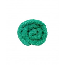 Frotē dvielis, Dark Mint-339 Krāsa Dark Mint-339 Dvieļu izmēri 30x50